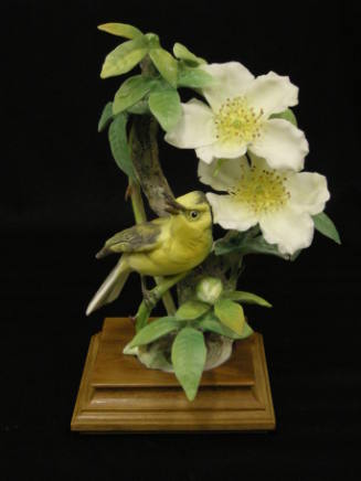 Hooded Warblers and Cherokee Rose