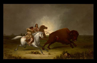 Assiniboine Indians Running a Buffalo