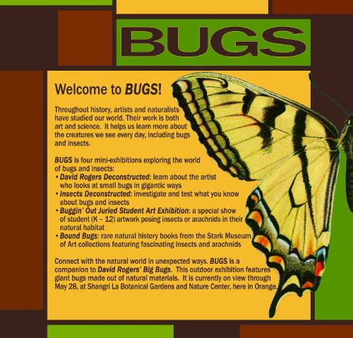 Big Bugs: David Rogers Deconstructed, Insects Deconstructed, Buggin’ Out Juried Student Art Exhibition