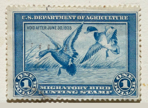 Conservation Art: Federal Duck Stamps & Prints