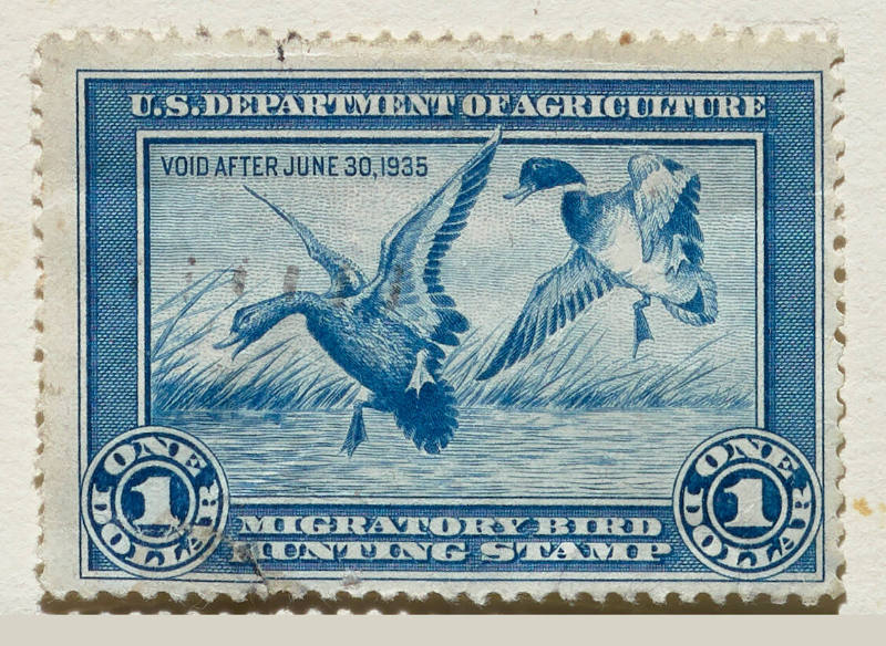 1934-35 Federal Duck Stamp; Mallards