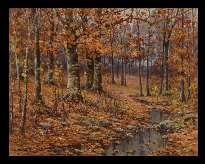 Autumn Woods Scene