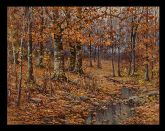 Autumn Woods Scene