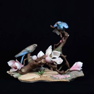 Mountain Bluebirds on Flowering Magnolia