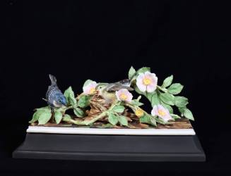Cerulean Warblers on Wild Rose