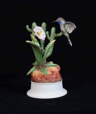 Hummingbird on Cactus (Blue-throated Hummingbird on Ladyfinger Cactus)