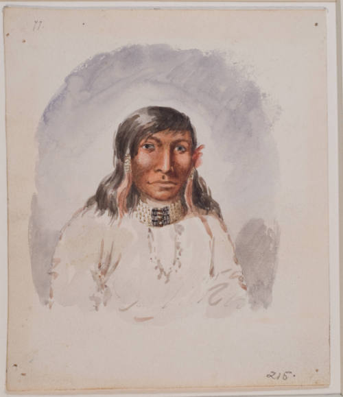 Nach-a-wish, a Nez Perce Indian