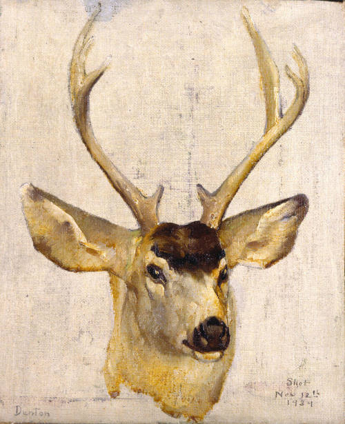 Deer Head