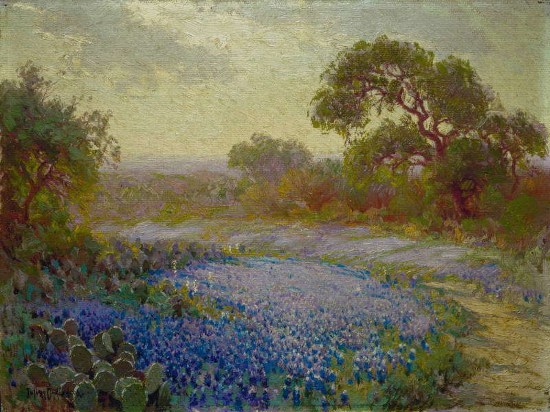 Late Afternoon in the Bluebonnets