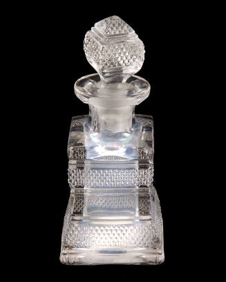 Toilet Bottle
