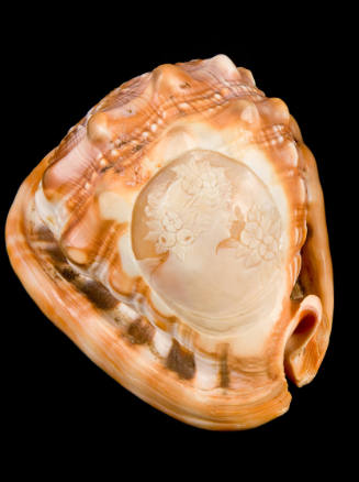 Carved Conch Shell