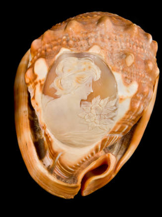 Carved Conch Shell
