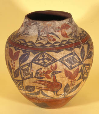 Water Jar with tall-necked bird with head plumes
