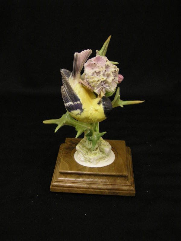 American Goldfinches and Thistle