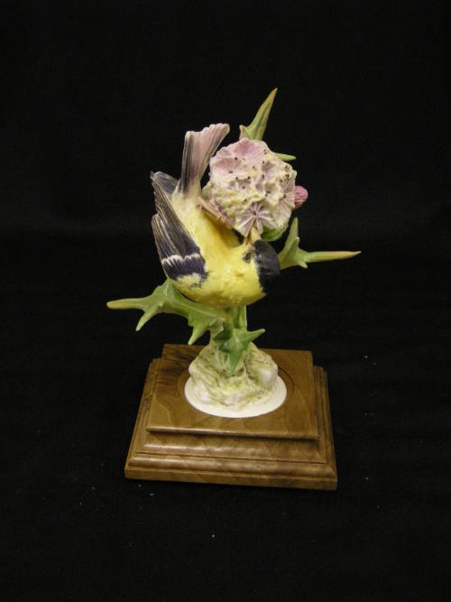 American Goldfinches and Thistle