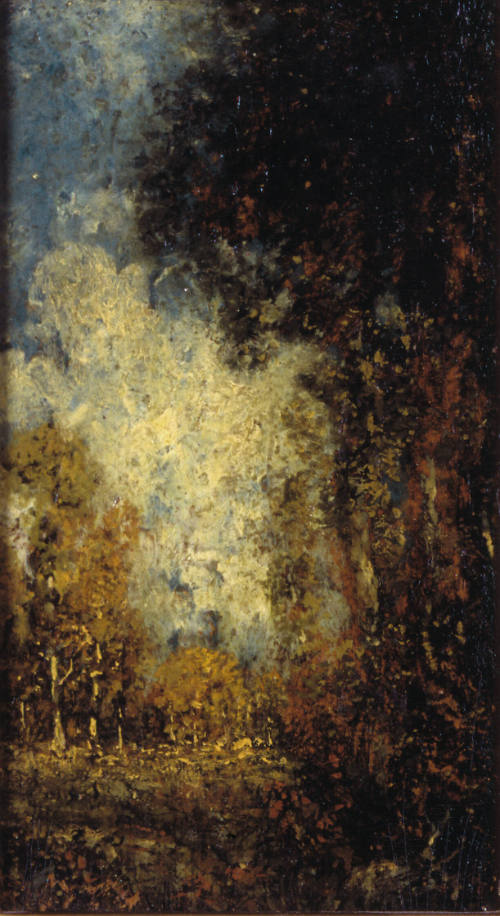 The Edge of the Woods