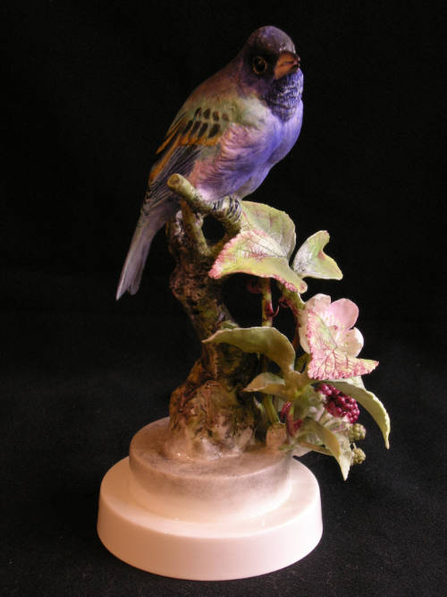 Indigo Buntings and Blackberry