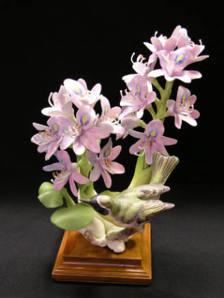 Yellow-Throats and Water Hyacinth