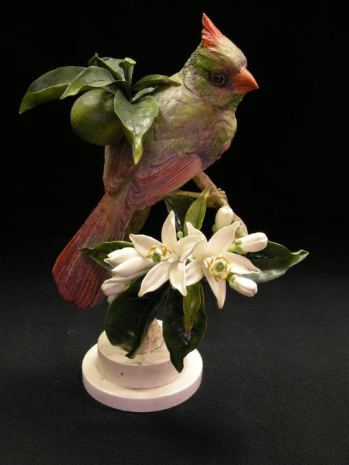 Virginian Cardinals and Orange Blossom