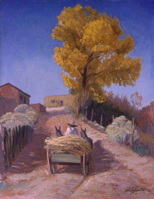 Cottonwoods in Tesuque
