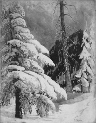 Winter Scene