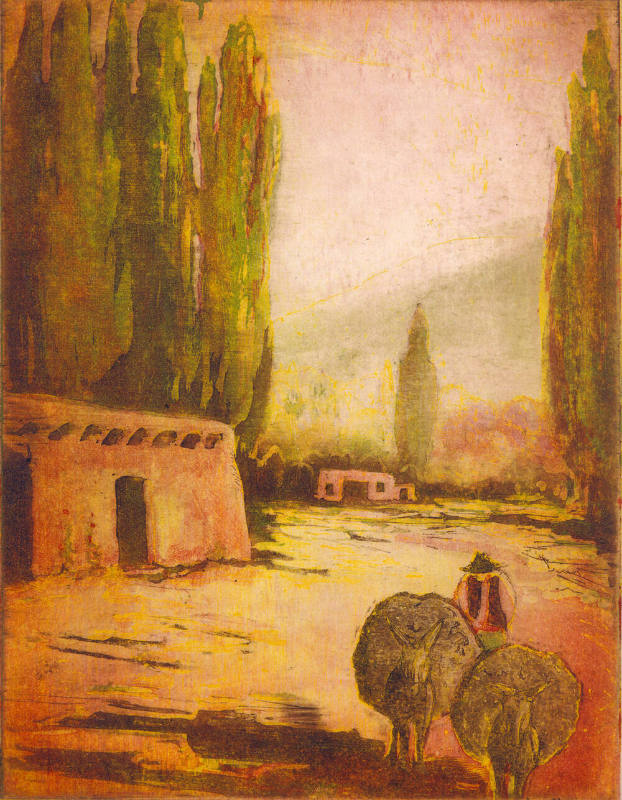 Man with Burros