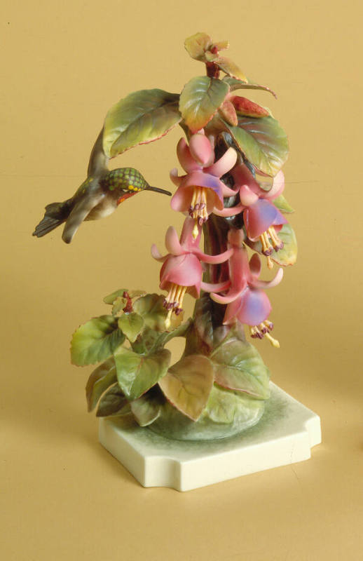 Ruby-Throated Humming Birds and Fuchsia