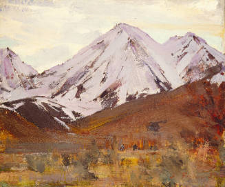 Snow Fell on the Mountains Near Taos