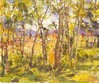 Taos, Flowers in Henry Sharp's Yard