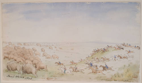 Metis Chasing the Main Buffalo Herd