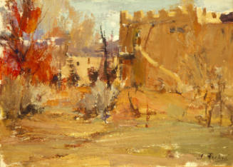 House in the Desert