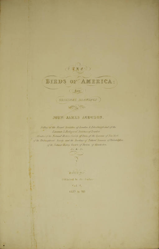Title Page