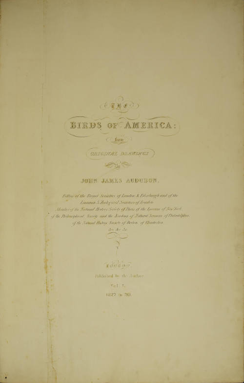 Title Page
