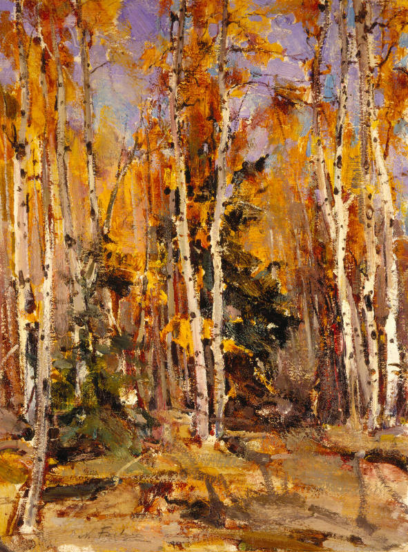 Fall Aspens