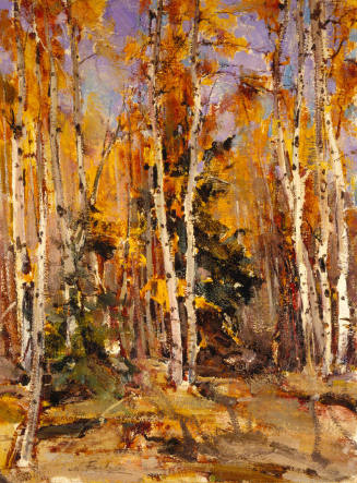 Fall Aspens