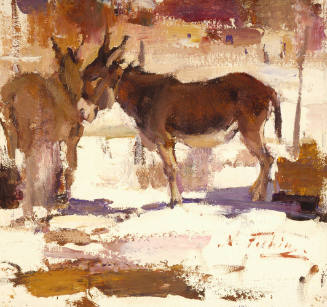 Donkeys