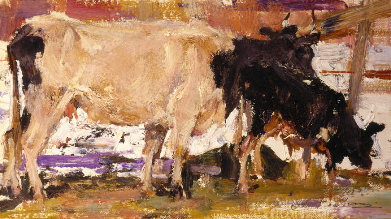 Cow and Calf