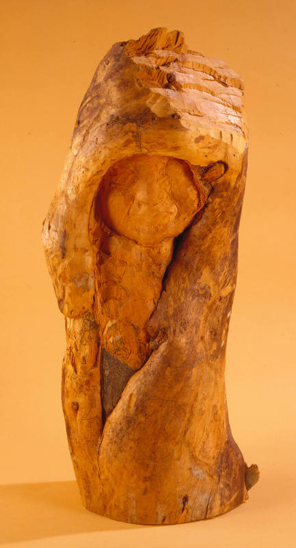 Head of Woman
