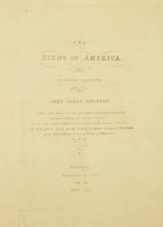 Title Page