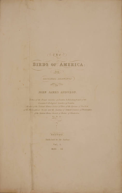 Title Page