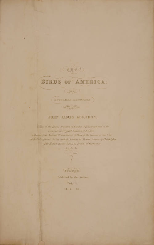 Title Page