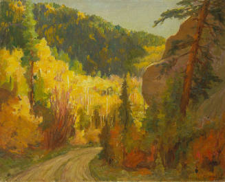 Aspens, Hondo Road from Twining