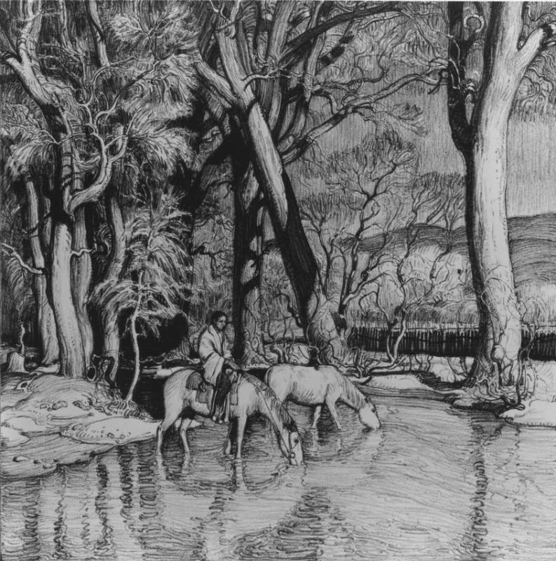 Beneath the Cottonwoods