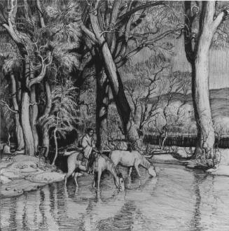 Beneath the Cottonwoods