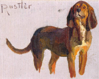 Rustler