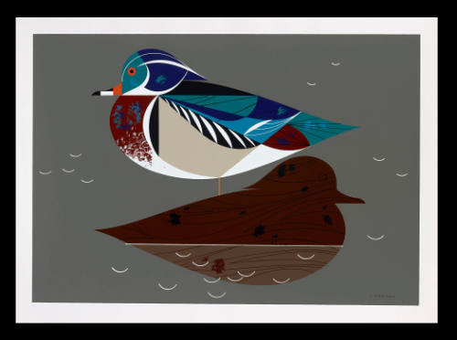 Wood Duck