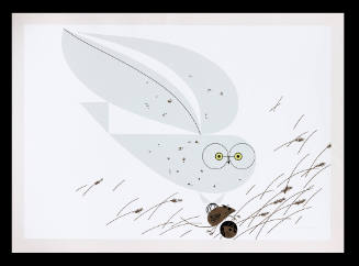 Snowy Owl