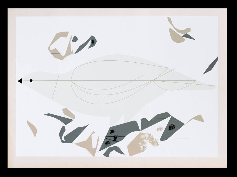 Ptarmigan