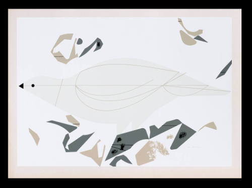 Ptarmigan