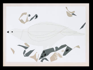 Ptarmigan